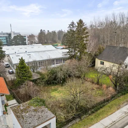 Sanftes Hanggrundstück mit Potential – Für Ihr Zuhause oder Bauträgerentwicklung - Bild 3