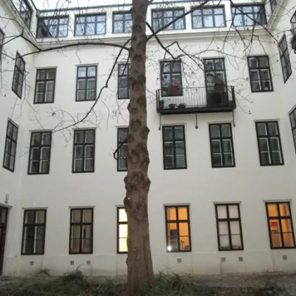 Toplage nächst Rathaus und Landesgericht - Büro/Praxis oder Kanzlei in der Lenaugasse! - Bild 2