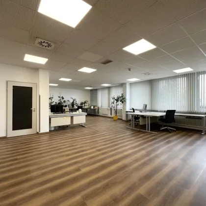 REPRÄSENTATIVE BÜROWELTEN mit vielen Annehmlichkeiten im PHILIPS-BUSINESS-KOMPLEX in Klagenfurt - Bild 3