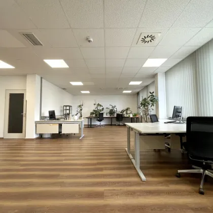 REPRÄSENTATIVE BÜROWELTEN mit vielen Annehmlichkeiten im PHILIPS-BUSINESS-KOMPLEX in Klagenfurt - Bild 2