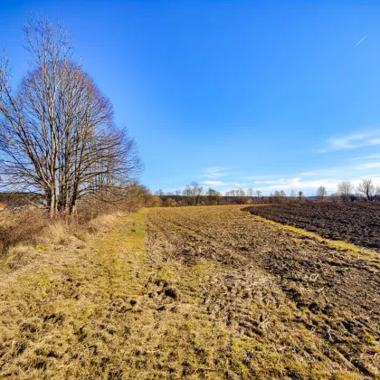 Ebenes Landwirtschaftliches Grundstück bei Söding. - Potential zur Vergrößerung mit + 2,1 ha. - Bild 3