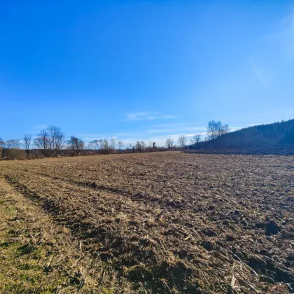 Ebenes Landwirtschaftliches Grundstück bei Söding. - Potential zur Vergrößerung mit + 2,1 ha. - Bild 2