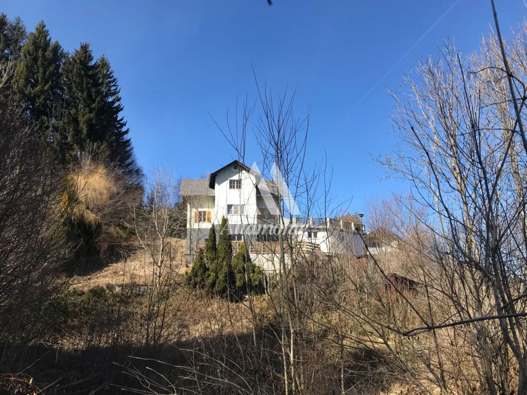 Malerisch gelegen, mit Wald- und Wiesenblick, in Streusiedlung - Bild 1