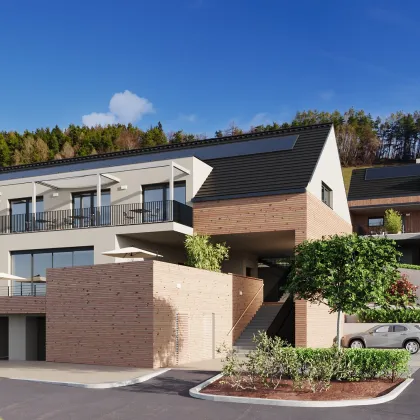 Exklusives Projekt mit touristischer Nutzung, einzigartiger und fantastischen Aussichtslage am Fuße des Demmerkogels in Höch - Bild 3