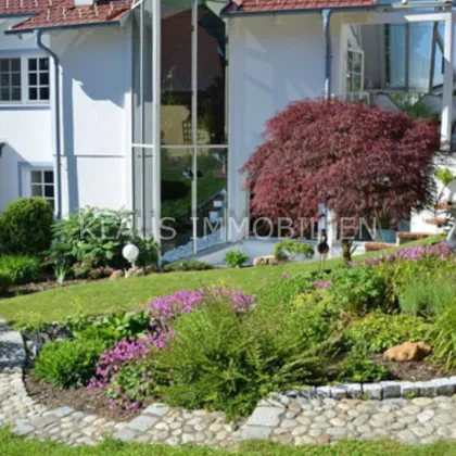 Groß - Siegharts: architektonischer Charme - unerwarteter Fund -verborgen inmitten der Stadt - Bild 3