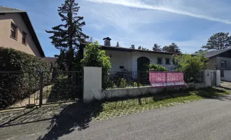 Sommerhäuschen/renovierungsbedürftiges Einfamilienhaus mit liebenswertem Garten, Garage, teilunterkellert