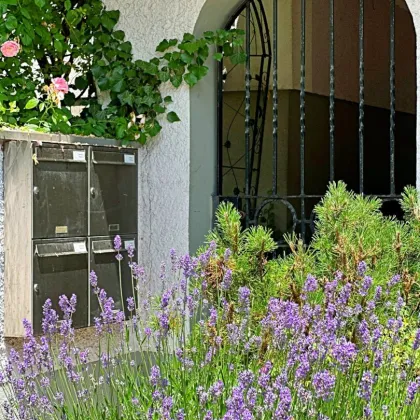 Stadtnahes Wohnhaus in Top-Lage in Maxglan - Nähe Festspielhaus - Bild 2