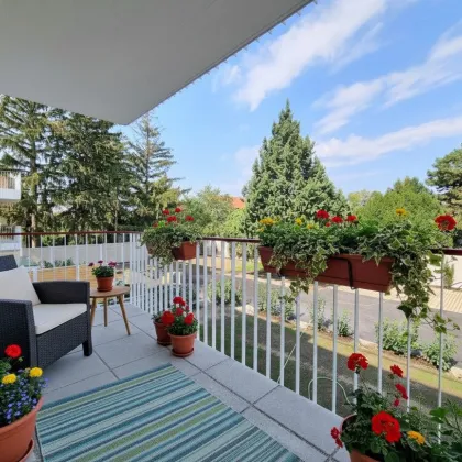 RUHELAGE TRIFFT WOHNGENUSS – Sonnige 4-Zimmer mit Balkon - Stilvolle Ausstattung – Wohnen im Grünen - Bild 2