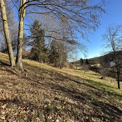 BEWILLIGTES PROJEKT FÜR KLUGE KÄUFER! DIE GELEGENHEIT! Baugrund inkl. Bewilligung für Wohnbauprojekt mit 4 Doppelhaushälften! Jetzt Anfragen! - Bild 2
