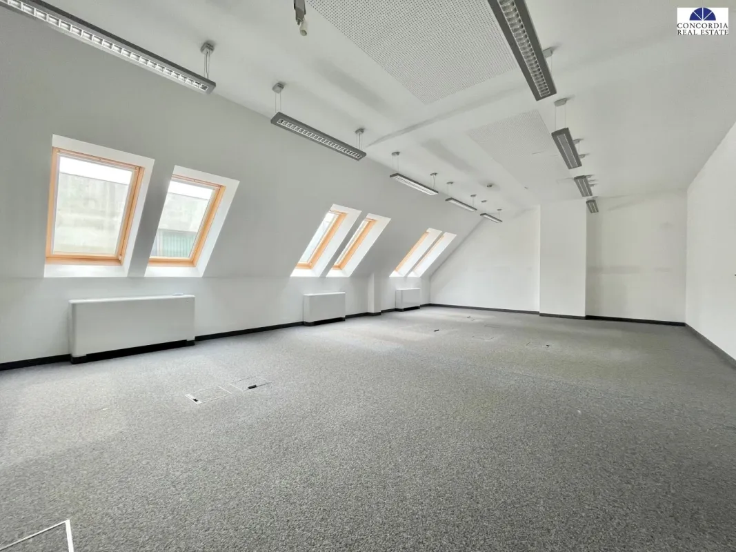 Große Bürofläche direkt bei der U3 Zipperer Straße - Bild 1