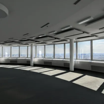 Modernes Büro mit Aussicht im Milleniumtower - Bild 3