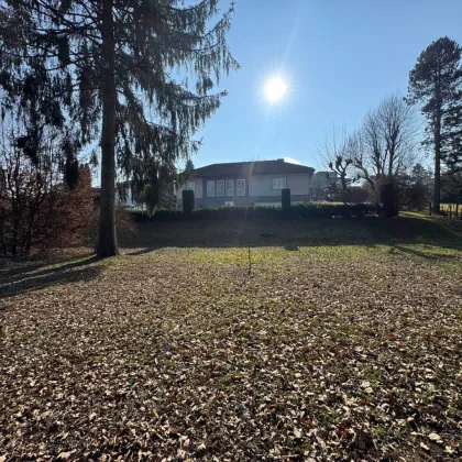 Wunderschöner Baugrund in Leonding-Imberg zu verkaufen - Bild 3