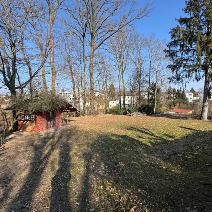 Wunderschöner Baugrund in Leonding-Imberg zu verkaufen - Bild 2