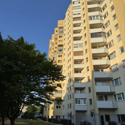 U1 und Donauzentrum Nähe 3 Zimmer Maisonette in Toplage - Bild 3