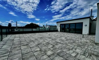 Neubau-Penthouse-Maisonette zum Nettokaufpreis zzgl. USt **Provisionsfrei**-Top 3/11