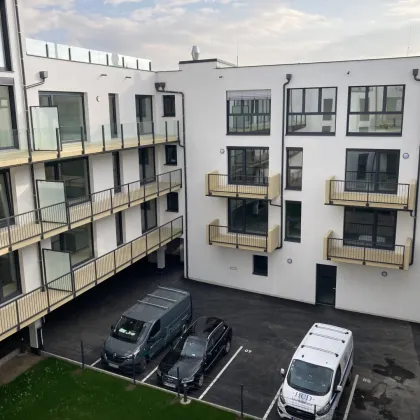 Neubau-Penthouse-Maisonette zum Nettokaufpreis zzgl. USt **Provisionsfrei**-Top 3/11 - Bild 2