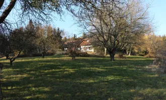 Nähe Jennersdorf: Absolute Einzellage mit einzigartigem Fernblick, 1,6 ha