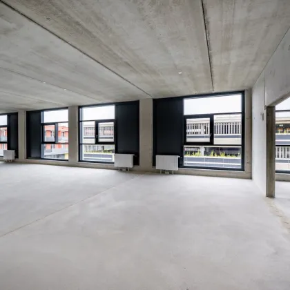 Moderne Gewerbefläche im Gewerbehof Seestadt - Bild 3