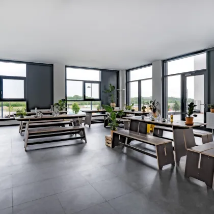 Moderne Gewerbefläche im Gewerbehof Seestadt - Bild 2