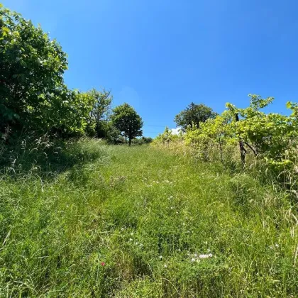 +++Traumhaftes Grundstück mit Garten und Fernblick in 1190 Wien - nur 560.000,00 €! - Bild 3