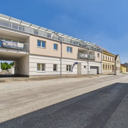 NEUBAU - MIETE - Vitis im Waldviertel ca. 90% vermietet - Bild 3