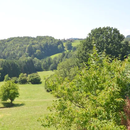 Eggersdorf bei Graz, teilsaniertes Mehrfamilienhaus, 3 Wohneinheiten möglich, ca. 290,00 m²,  Grund 993 m² - Bild 2