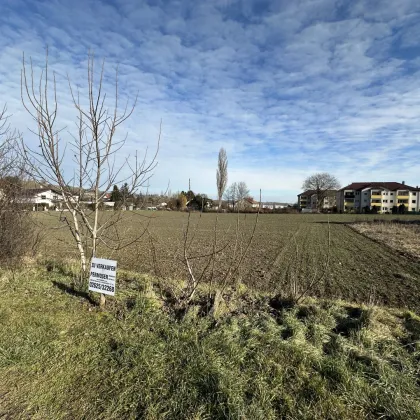 Baugrund in schöner Lage zu verkaufen - Bild 2