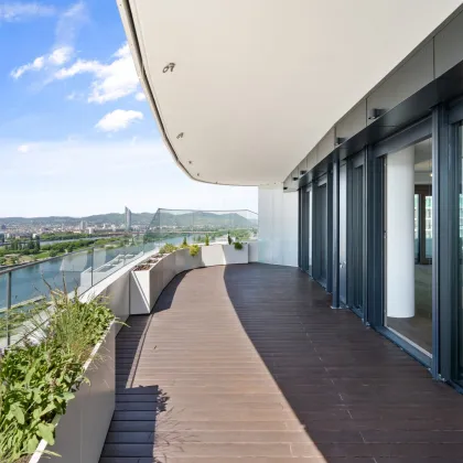 **DANUBEFLATS mit XXL Freifläche Richtung Innenstadt** 2 oder 3 Zimmer möglich - Bild 2