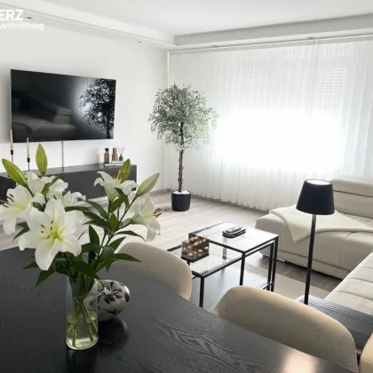 Elegante Anlegerwohnung - Bild 2