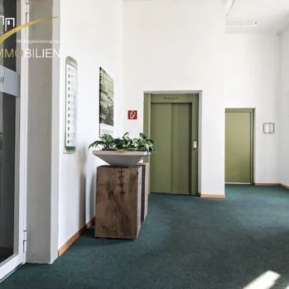 Klimatisiertes Studio/Büro im Wirtschaftspark Walgau - Bild 3
