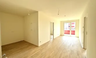 Jonas am Feld - Wohnen am Badeteich Hirschstetten