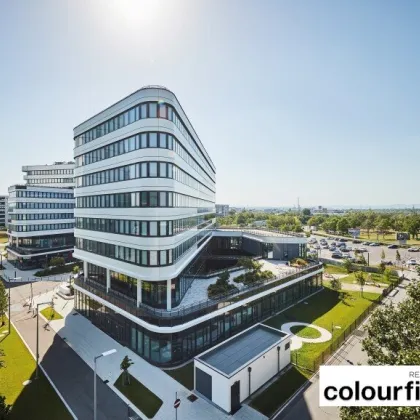 Moderne Büroflächen im Vienna Airport Office Park 4 - Bild 3