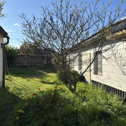 SCHULTZ IMMOBILIEN - Top Baugrund im Zentrum von Guntramsdorf! - Bild 2