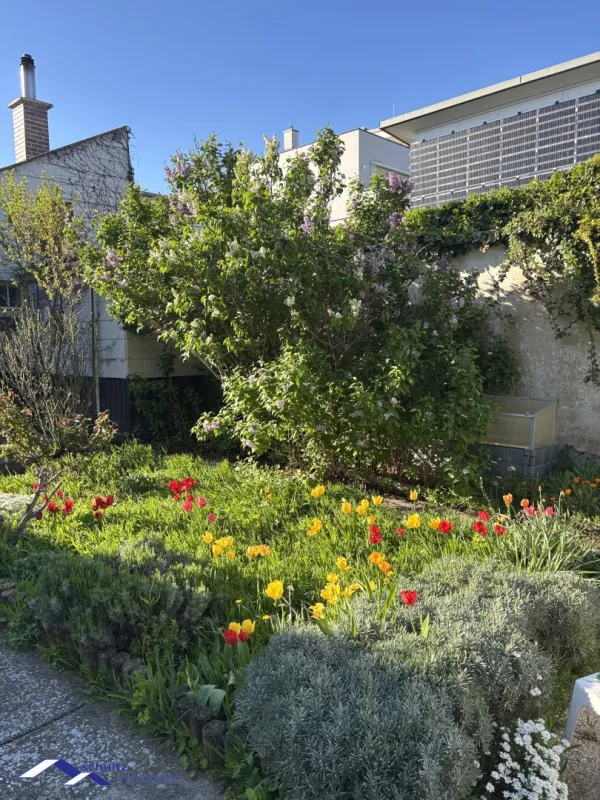 SCHULTZ IMMOBILIEN - Top Baugrund im Zentrum von Guntramsdorf! - Bild 1