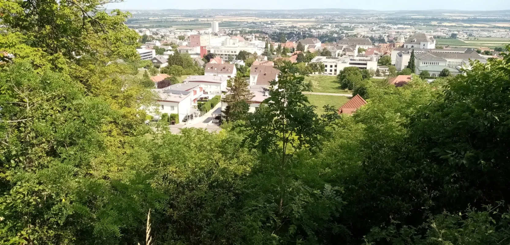 Villengrund mit traumhaften Fernblick - Bild 1