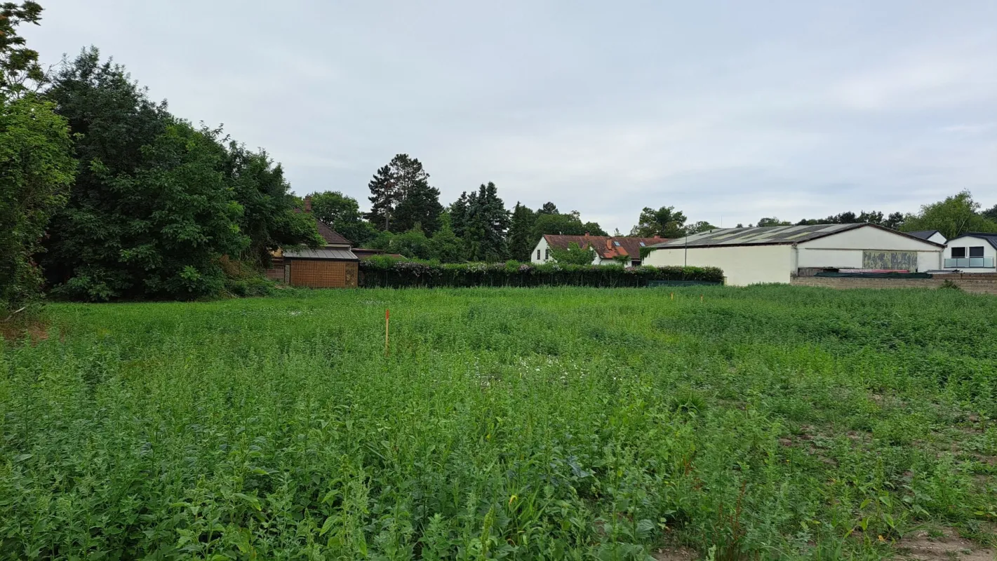 Traumhaftes Eigenheim: Baugrundstück in Mühlleiten - Bild 1