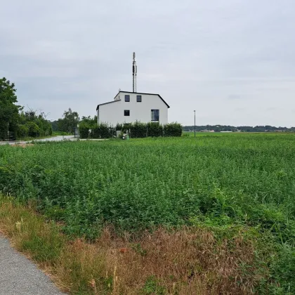Traumhaftes Eigenheim in Grünruhelage - Bild 2