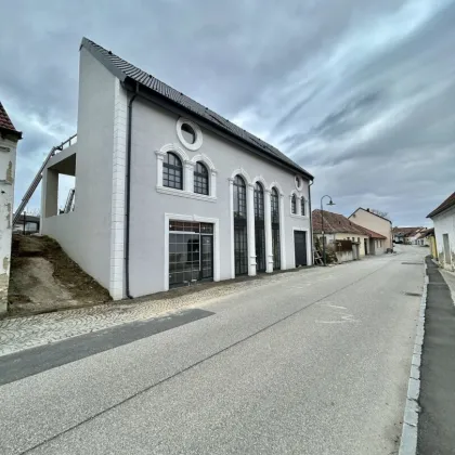 LUXUSVILLA ERSTBEZUG Großriedenthal bei Tulln/ Belagsfertig - Bild 2