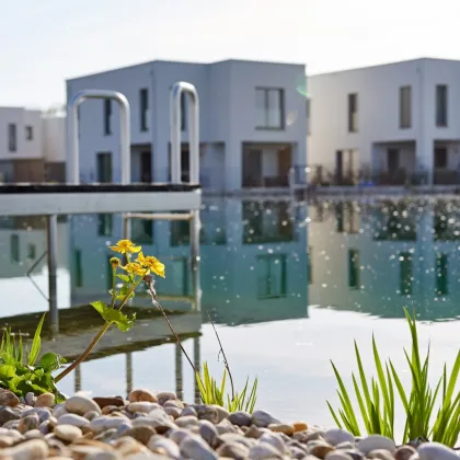 Mein Haus am See. Sonnenweiher Grafenwörth. - Bild 3