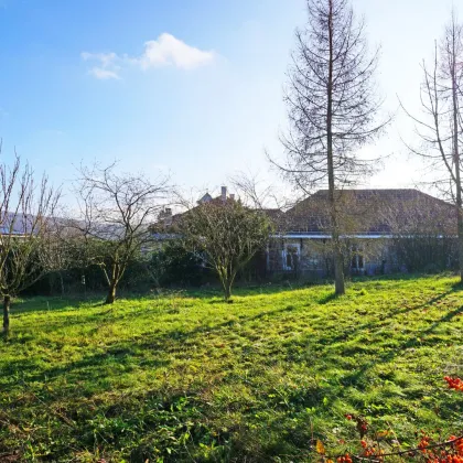Aussichtslage mit Altbestand Nähe Gablitzer Ortskern - in bis zu 5 Bauplätze teilbar! - Bild 3