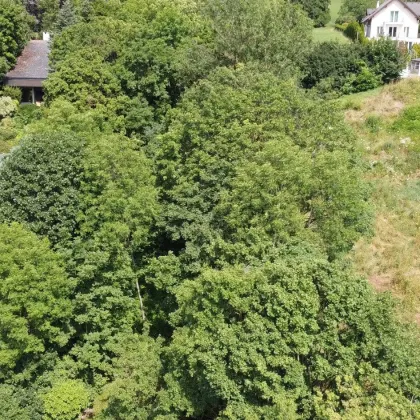 SCHULTZ IMMOBILIEN - TRAUMGRUNDSTÜCK mit Fernblick zu kaufen! - Bild 3