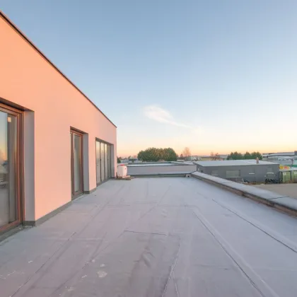 Vielseitig Nutzbare Lagerhallen in Ebreichsdorf (Unterwaltersdorf - 2442) - Bild 2