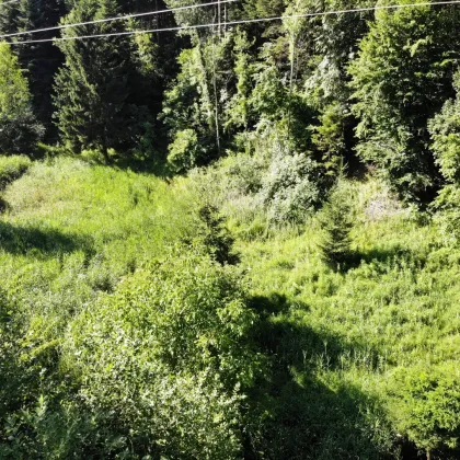 ** PREISSENKUNG ** Großzügiges Grundstück - auch als Gartengrund nutzbar -  in ruhiger Lage- provisionsfrei für die Käufer! - Bild 3