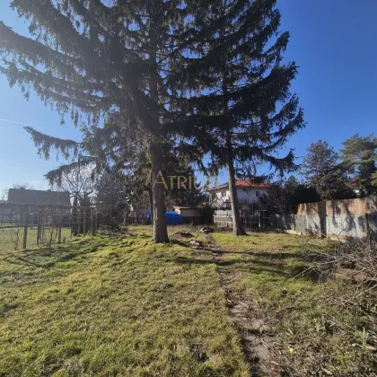 Grundstück in Aspern – Vielseitige Entwicklungsmöglichkeit - Bild 3