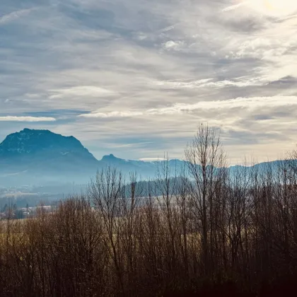 Exklusives Wohnen in traumhafter Aussichtslage in Ohlsdorf - Bild 3