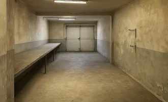 Geschäftsfläche / Lager / Produktion ca. 460 m2 nähe Messe Wien vielseitig nutzbar TOP-LAGE ++ Rendite Objekt
