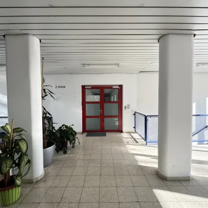 Exklusives Büro- oder Praxisflächen - in Top-Lage von Ottakring - Bild 3