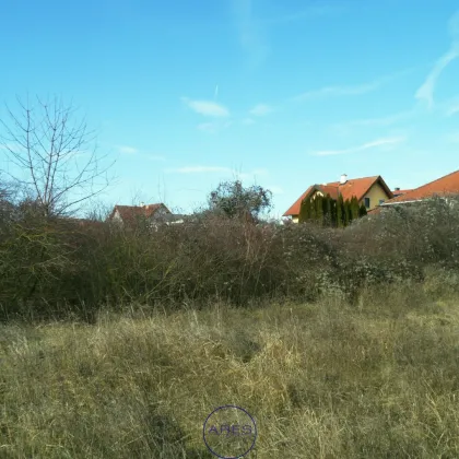 Baugrund mit Fernsicht in bester Lage in Gneixendorf - Bild 2