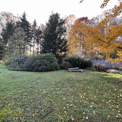 Ruhig gelegenes Ein-Zweifamilienwohnhaus mit großem Garten zu verkaufen! - Bild 3