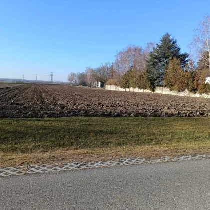2422 Pama  -  Freunde aufgepasst - zwei nebeneinander liegende Baugrundstücke - Bild 3